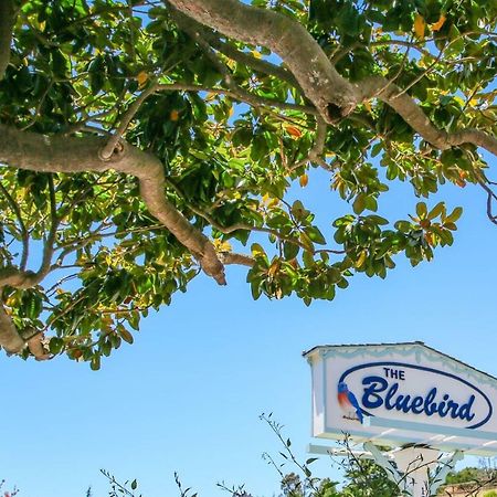 Bluebird Inn Cambria Dış mekan fotoğraf