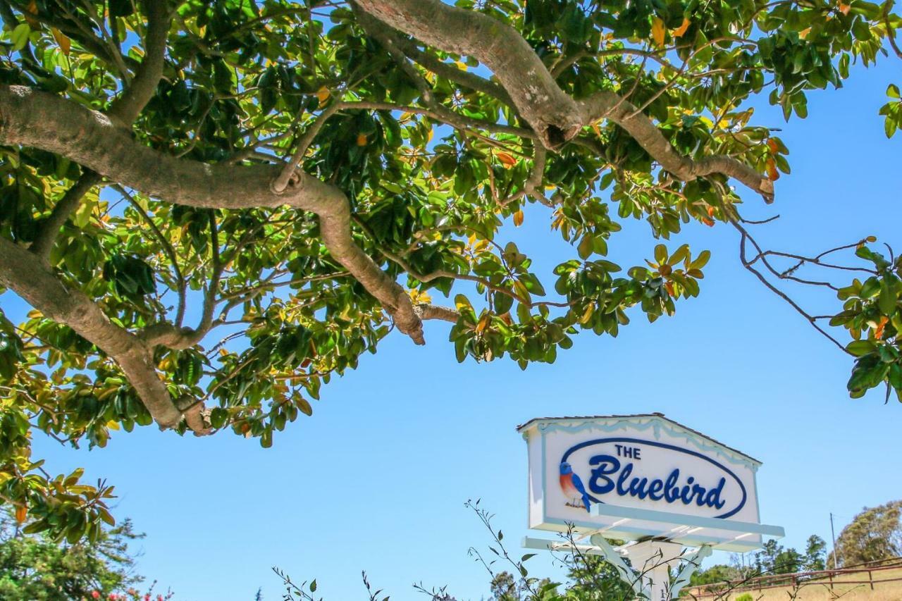 Bluebird Inn Cambria Dış mekan fotoğraf