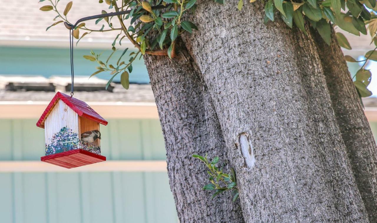 Bluebird Inn Cambria Dış mekan fotoğraf